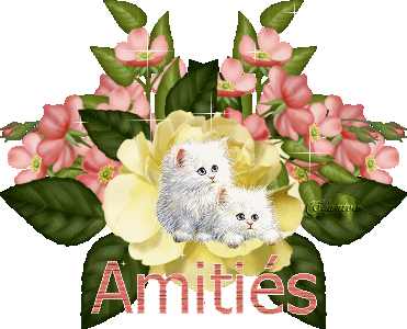 AMITIE